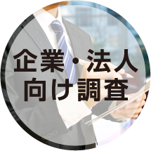 企業・法人向け調査